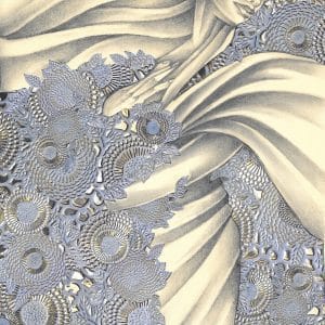 Secessions V Study (Copy)